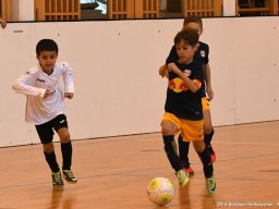 mini-2017-01-28-DSC_3278